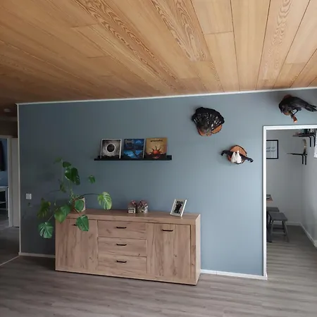 Selekosten Tunto * Rovaniemi