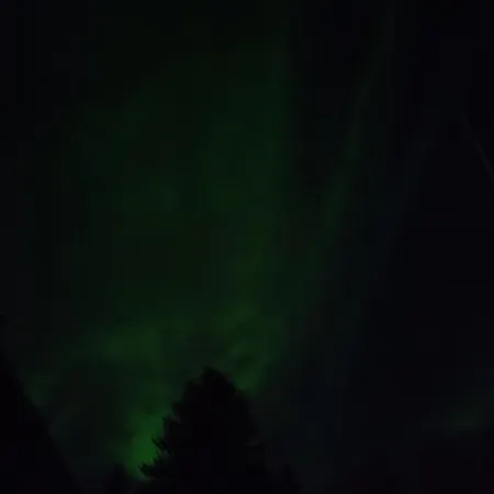 Selekosten Tunto * Rovaniemi