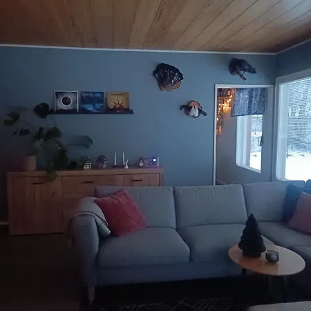 Selekosten Tunto Prázdninový dům