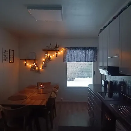 Selekosten Tunto * 罗瓦涅米