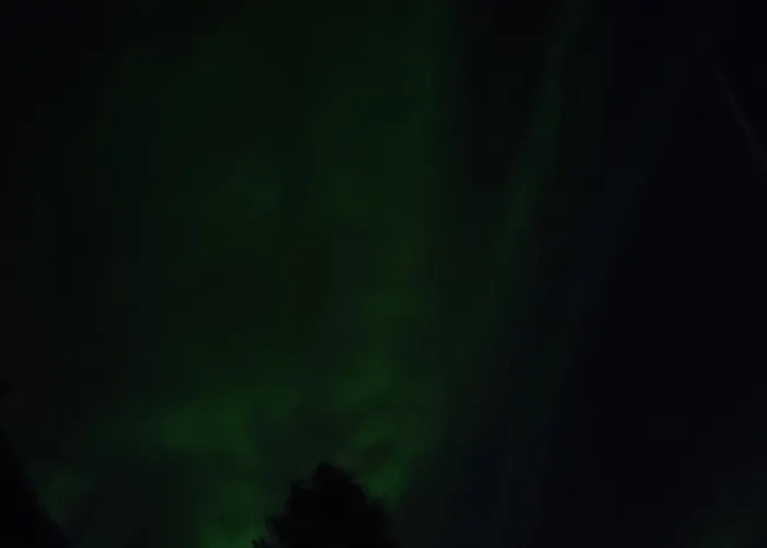 Selekosten Tunto * Rovaniemi